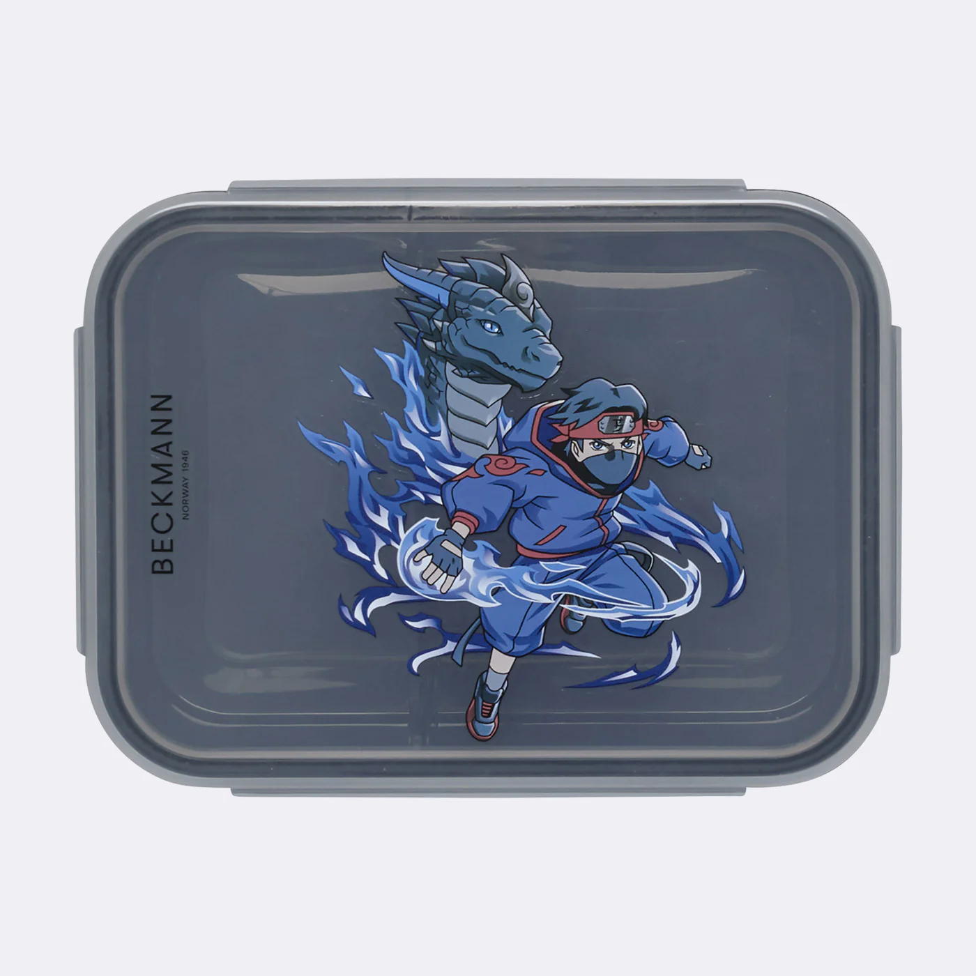 Classic sett, Ninja Elements - Image 15